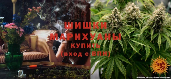 бутират Богородицк