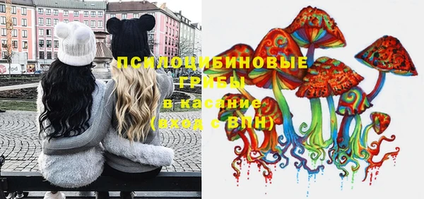ПСИЛОЦИБИНОВЫЕ ГРИБЫ Беломорск