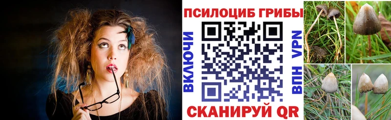 Псилоцибиновые грибы Cubensis  мега рабочий сайт  Буйнакск 
